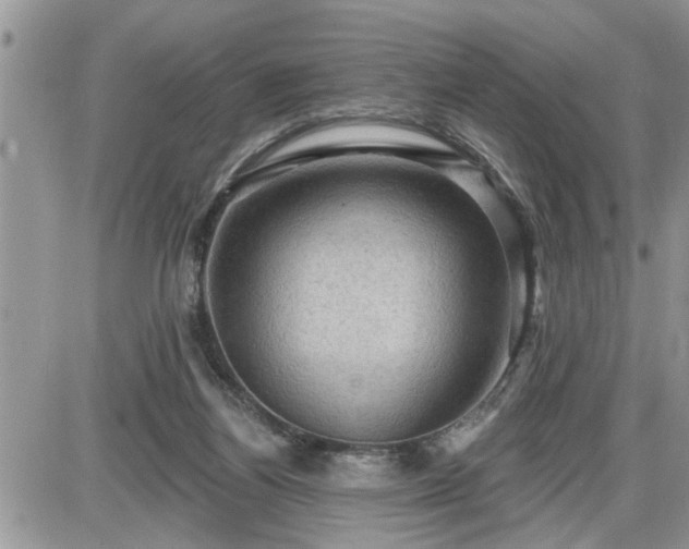 X0000087590164200705041518