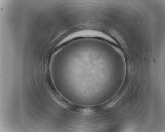 X0000087590165200705041518