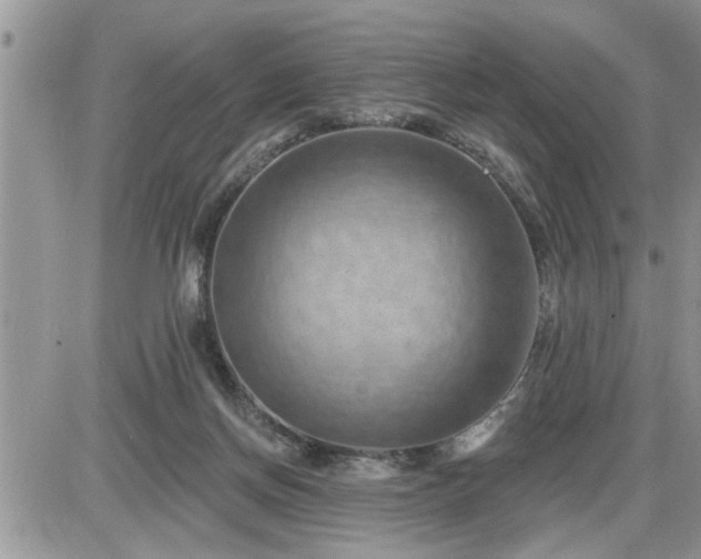 X0000087590166200705041518