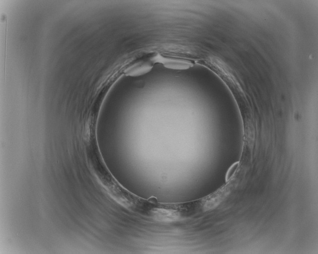 X0000087590167200705041518