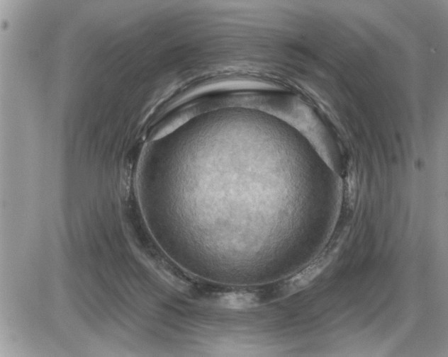 X0000087590168200705041518