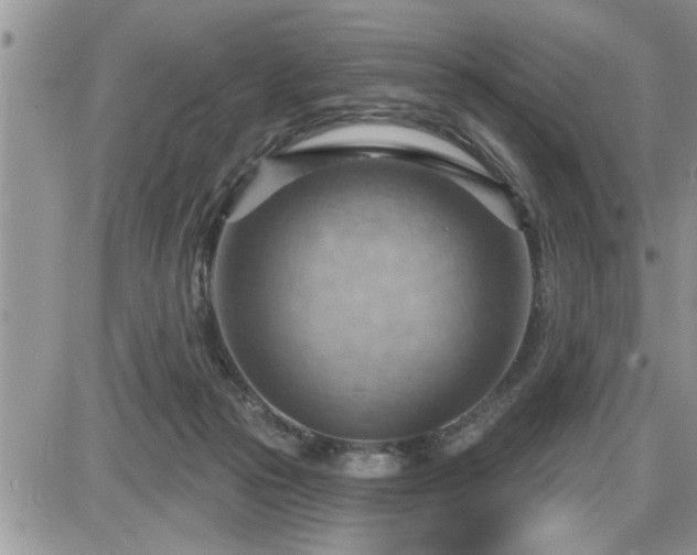 X0000087590169200705041518