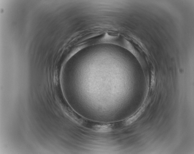 X0000087590170200705041518