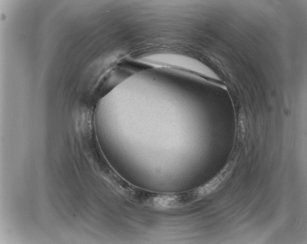 X0000087590172200705041518