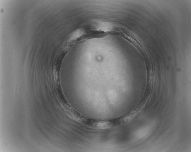 X0000087590173200705041518