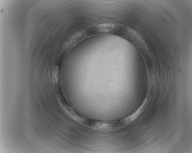 X0000087590174200705041518