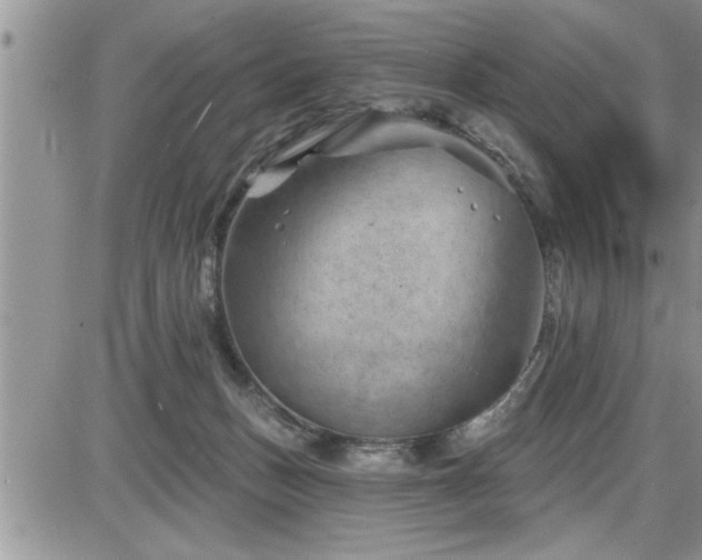 X0000087590175200705041518