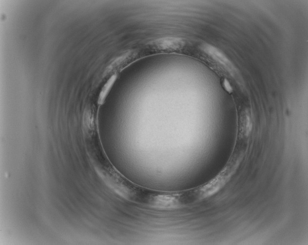 X0000087590176200705041518