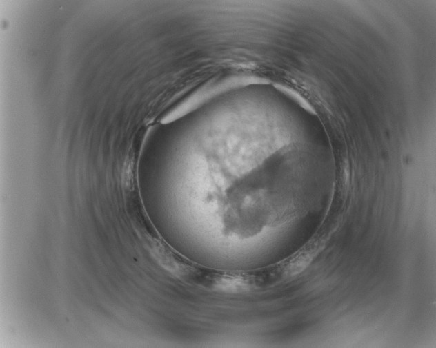 X0000087590177200705041518