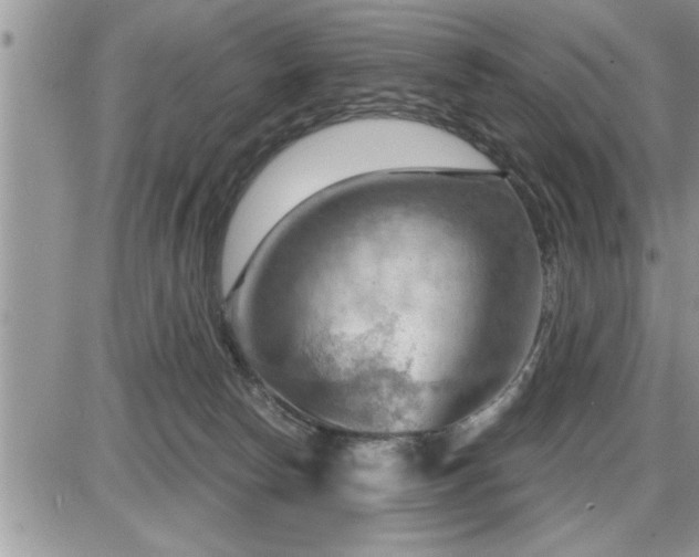 X0000087590178200705041518