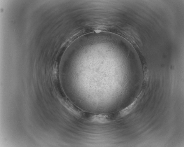 X0000087590179200705041518