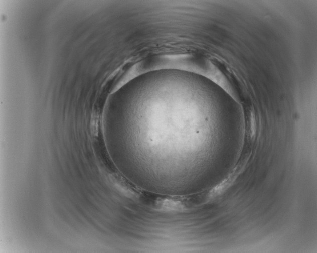 X0000087590180200705041518