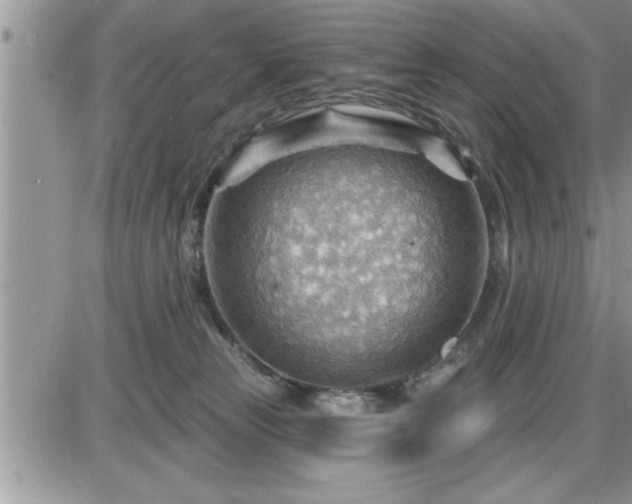 X0000087590181200705041518