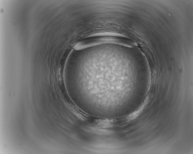 X0000087590182200705041518