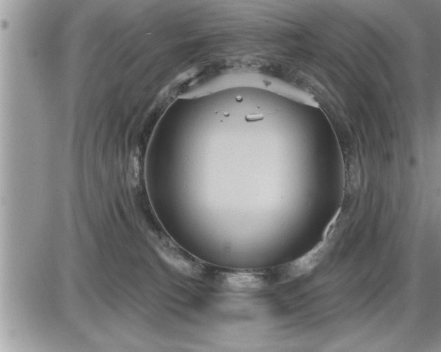 X0000087590183200705041518