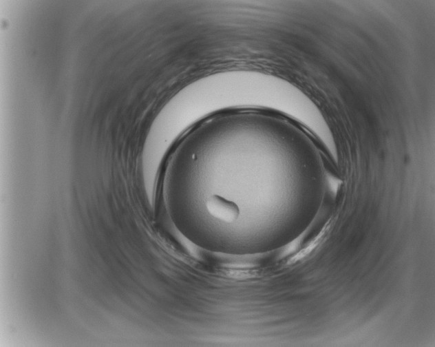 X0000087590184200705041518