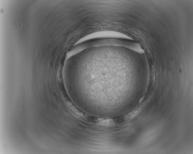 X0000087590185200705041518