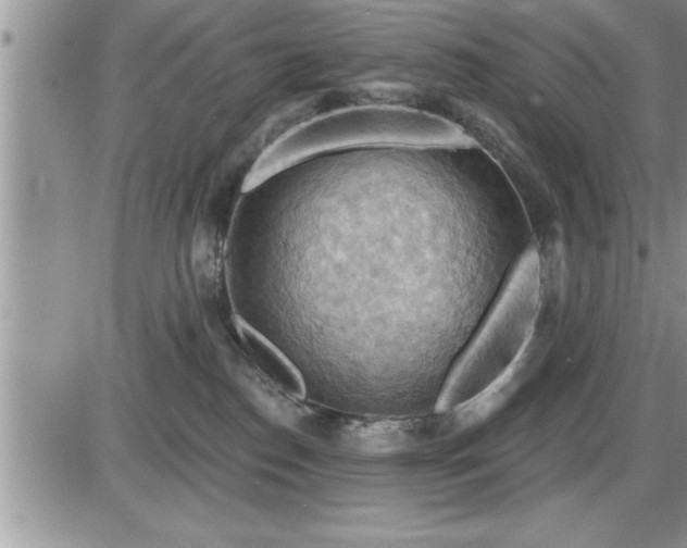 X0000087590186200705041518