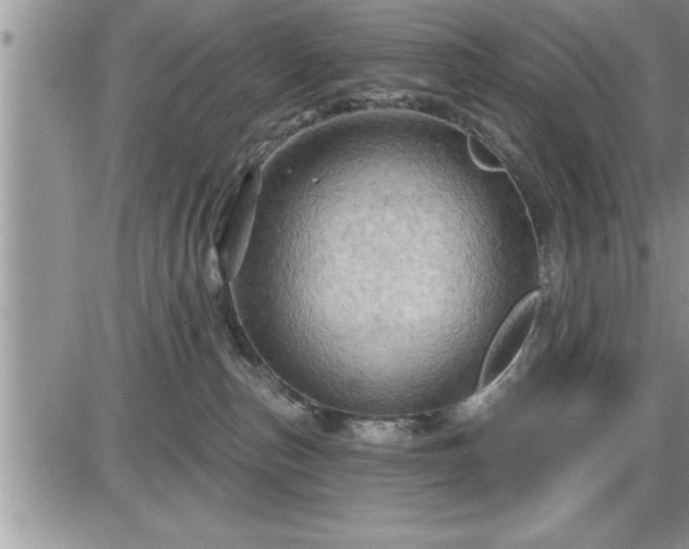 X0000087590187200705041518