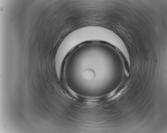 X0000087590188200705041518