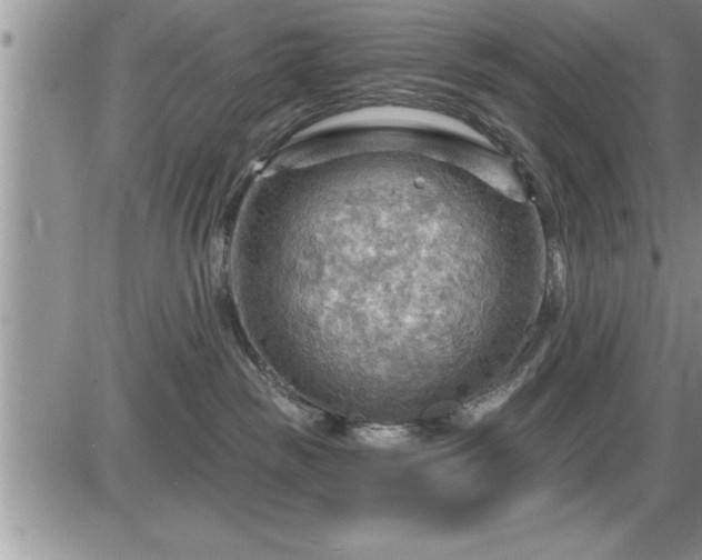 X0000087590189200705041518