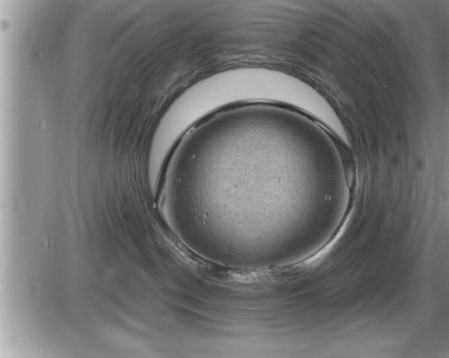 X0000087590190200705041518