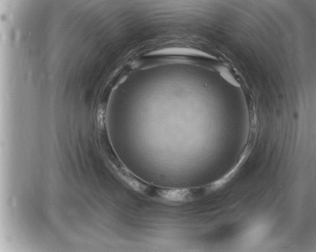 X0000087590191200705041518