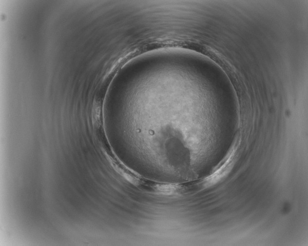 X0000087590192200705041518