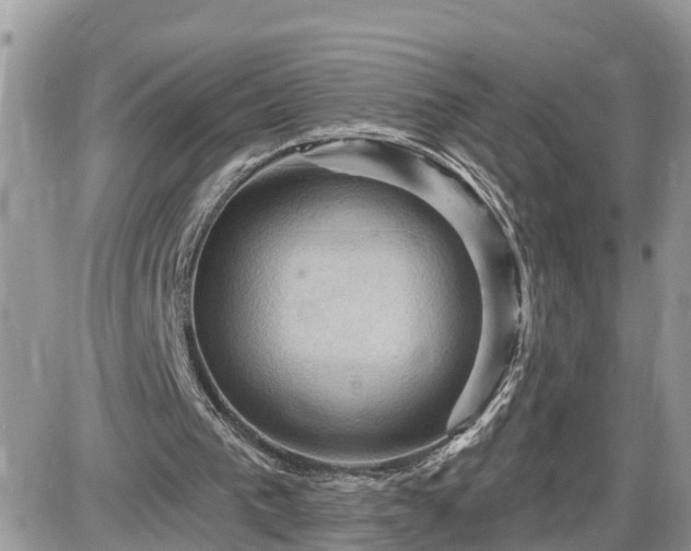 X0000087590193200705041517