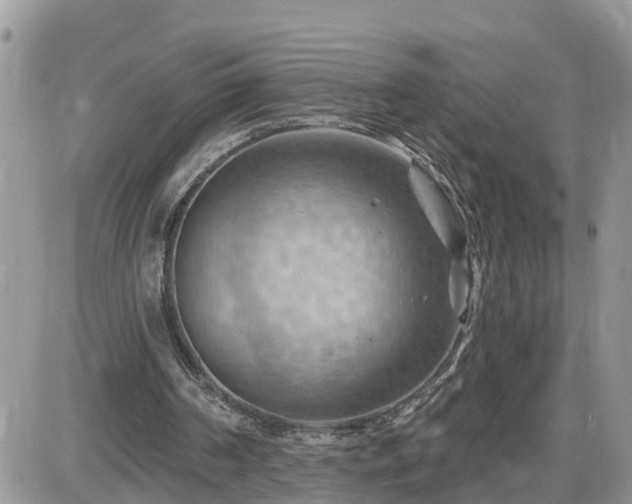 X0000087590194200705041517