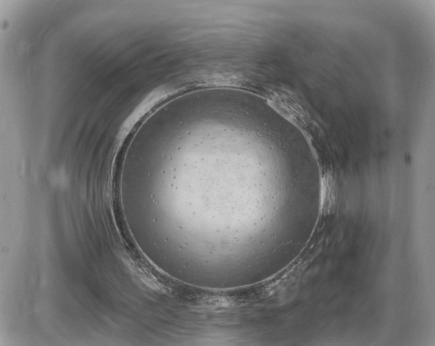 X0000087590195200705041517