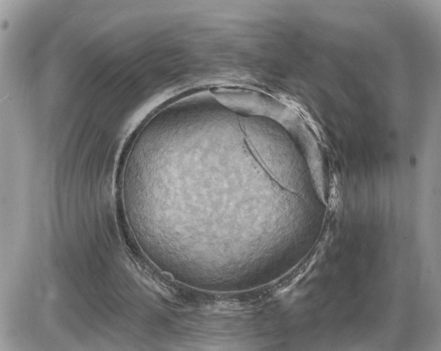 X0000087590196200705041517