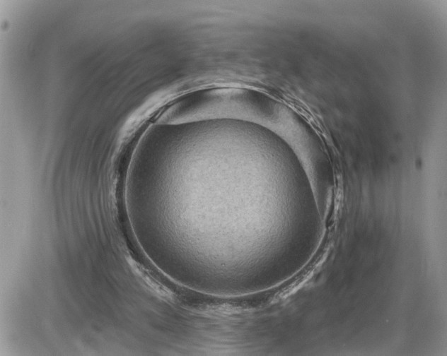 X0000087590197200705041517