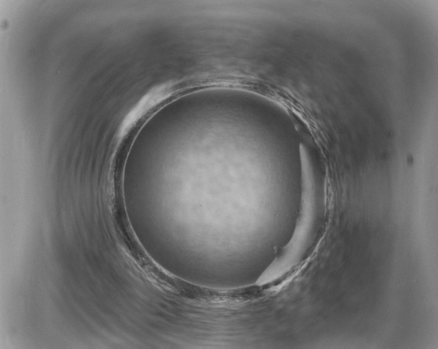 X0000087590198200705041517