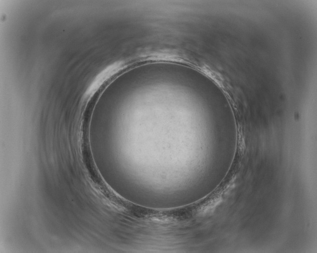 X0000087590199200705041517