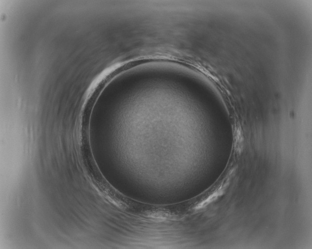 X0000087590200200705041517