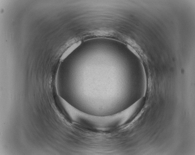 X0000087590201200705041517