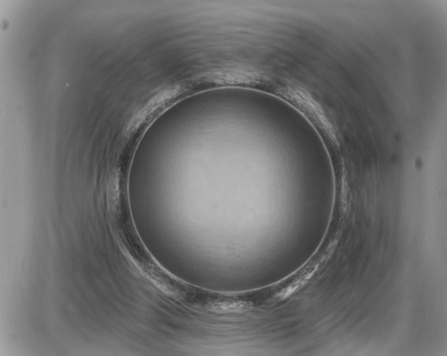 X0000087590202200705041517