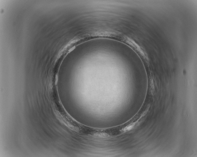 X0000087590203200705041517