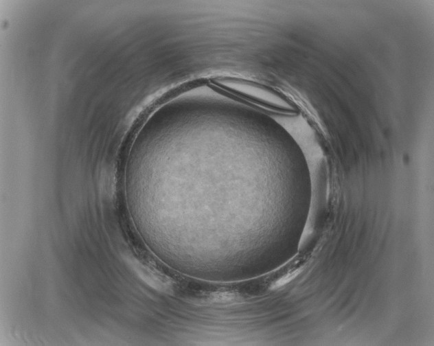 X0000087590204200705041517