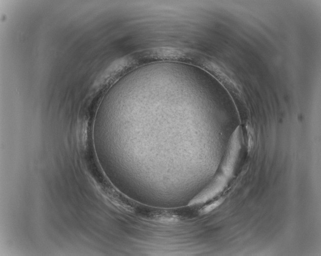 X0000087590206200705041517