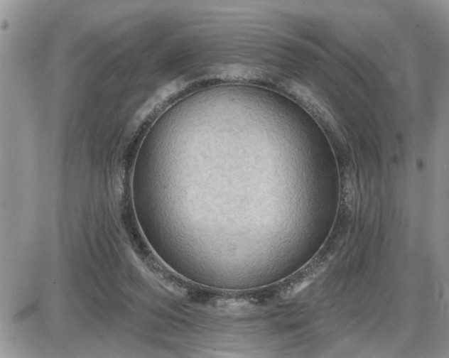 X0000087590208200705041517