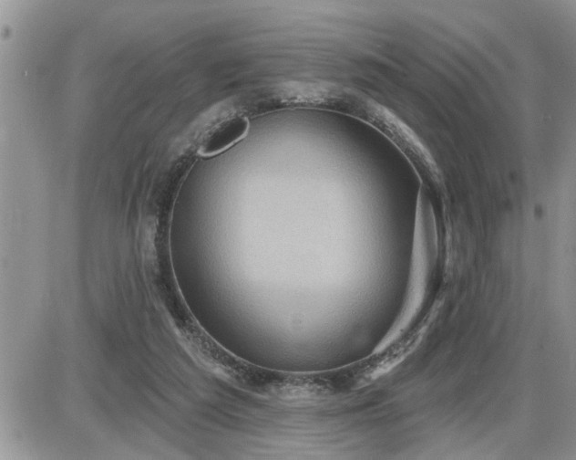 X0000087590209200705041517