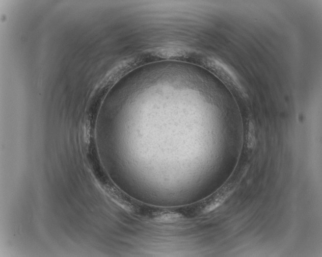 X0000087590210200705041517