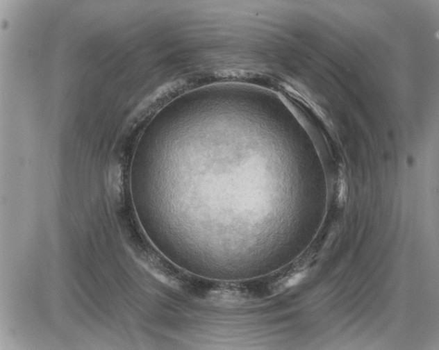 X0000087590211200705041517