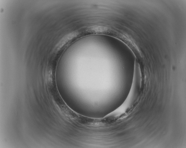 X0000087590212200705041517