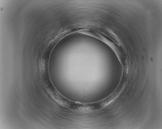 X0000087590213200705041517