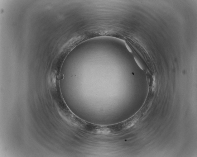 X0000087590214200705041517