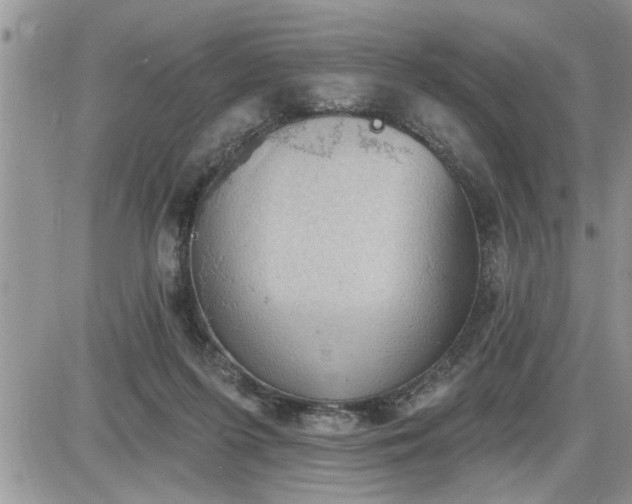 X0000087590215200705041517