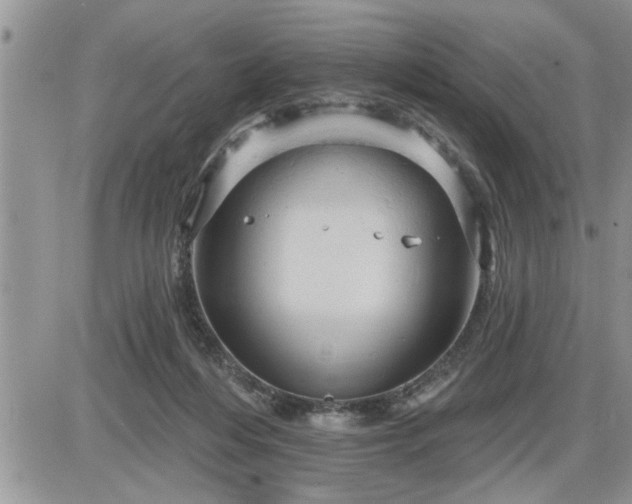 X0000087590216200705041517